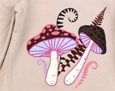 Name It adobe rose top svampe